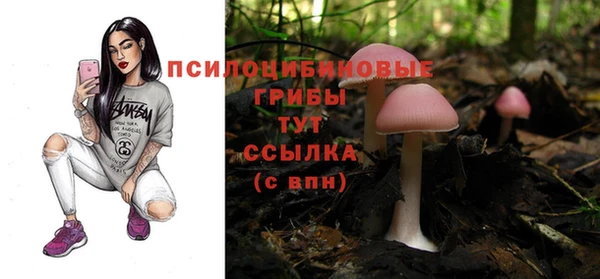 не бодяженный Володарск