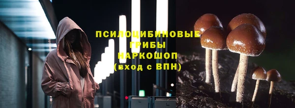 гашик Волоколамск