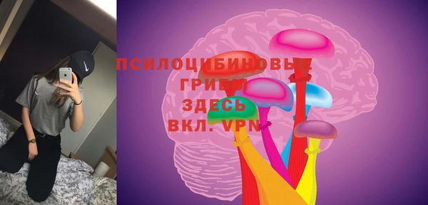 гашик Волоколамск