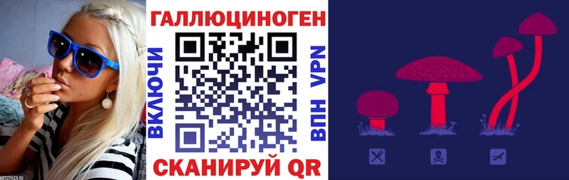 где найти наркотики  hydra tor  Псилоцибиновые грибы GOLDEN TEACHER  Череповец 